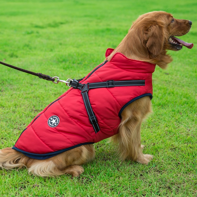 Reflective Big Dog Cotton Padded Waterproof Warm Pet Winter Jacket